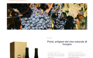 Priod Vini